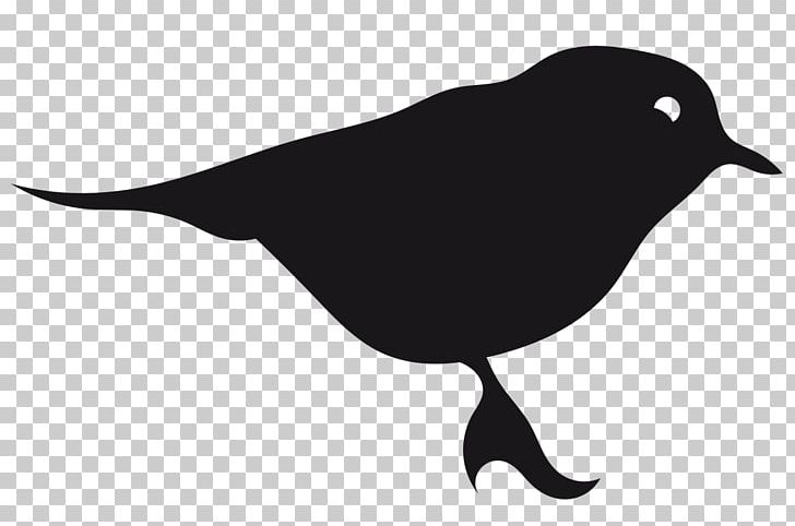 Logo Hatshoe-bxl Icon Design PNG, Clipart, Beak, Bird, Black And White, Fauna, Hatshoebxl Free PNG Download