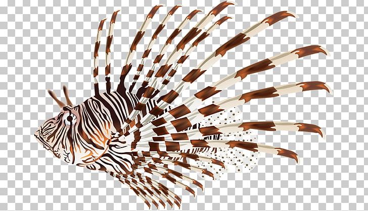 Red Lionfish Invasive Species PNG, Clipart, Clip Art, Drawing, Encapsulated Postscript, Fish, Invasive Species Free PNG Download