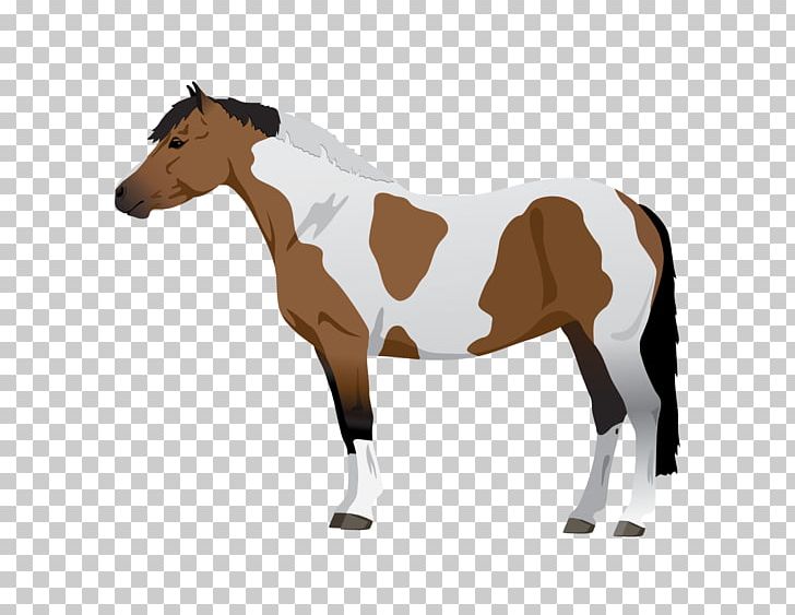 Mustang Pony Foal Mare Equine Coat Color PNG, Clipart, Animal Figure, Bridle, Colt, Equestrian, Equine Coat Color Free PNG Download