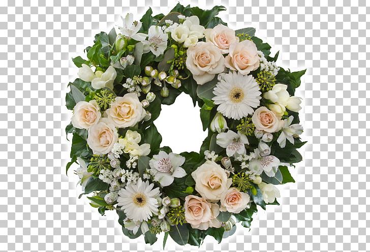 Noosa Florist Flower Delivery Floristry Cut Flowers PNG, Clipart,  Free PNG Download