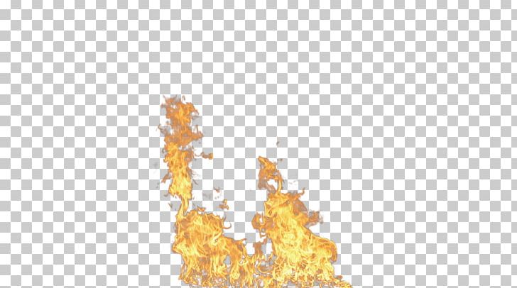 PhotoScape GIMP Animation PNG, Clipart, Combustion, Computer Wallpaper, Conflagration, Design, Fire Free PNG Download