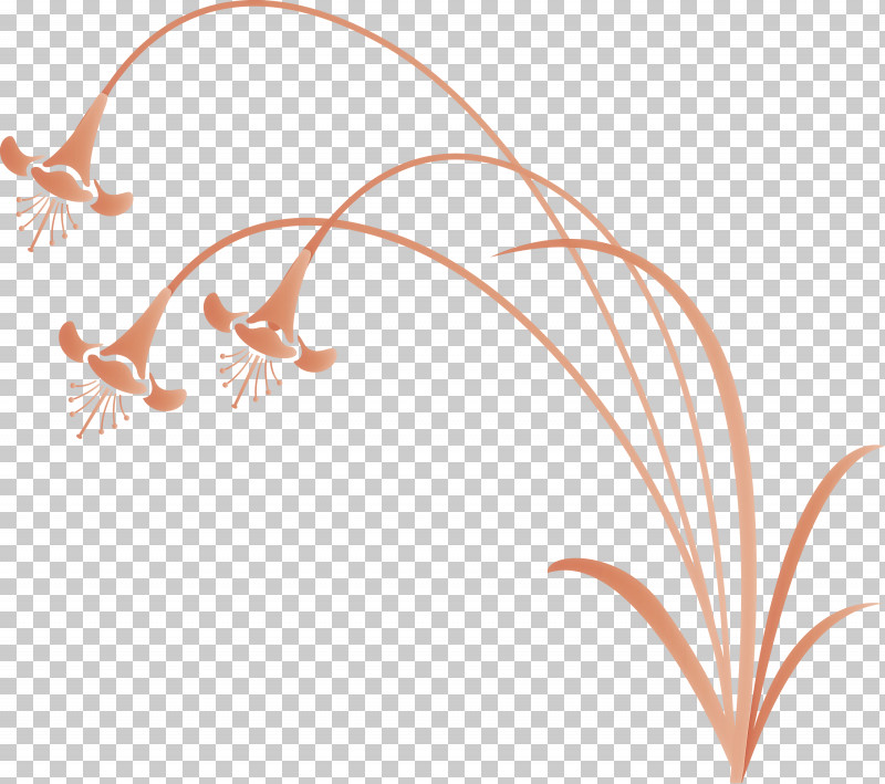 Flower Frame Decoration Frame PNG, Clipart, Decoration Frame, Flower Frame, Line Free PNG Download