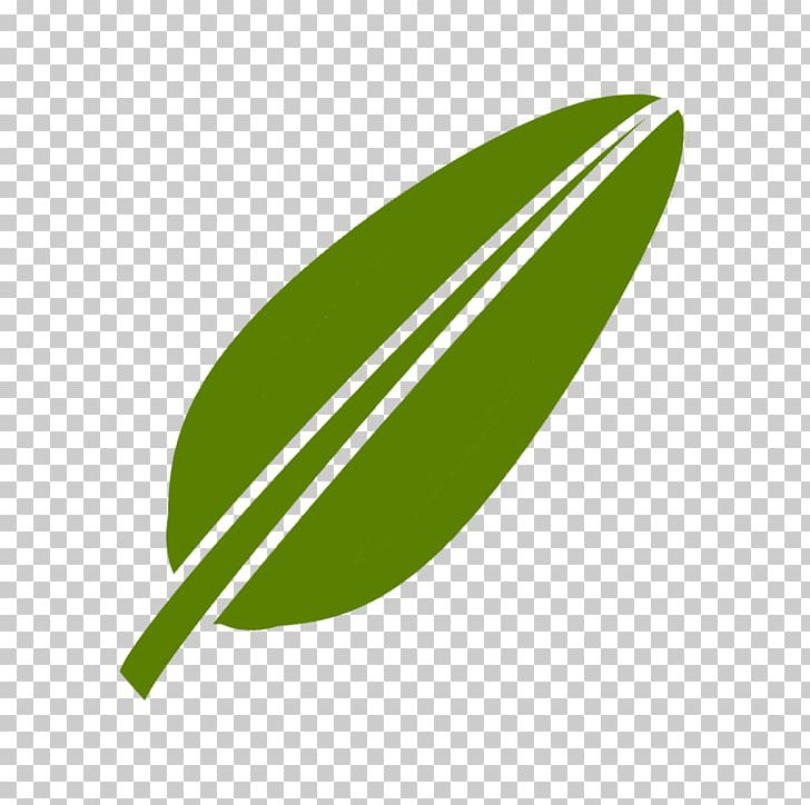 Banana Leaf PNG, Clipart, Animaatio, Banana, Banana Leaf, Bitki, Grass Free PNG Download