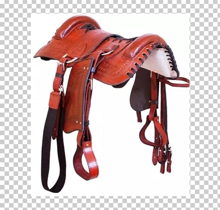 Crioulo Horse Harnesses Campeiro Saddle Brazil PNG, Clipart, Animal, Boot, Brazil, Bridle, Clothing Accessories Free PNG Download