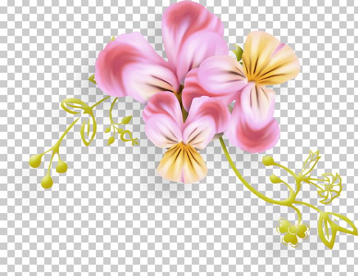 Floral Design Cut Flowers Moth Orchids Petal PNG, Clipart, Blossom, Cut Flowers, Floral Design, Floristry, Flower Free PNG Download