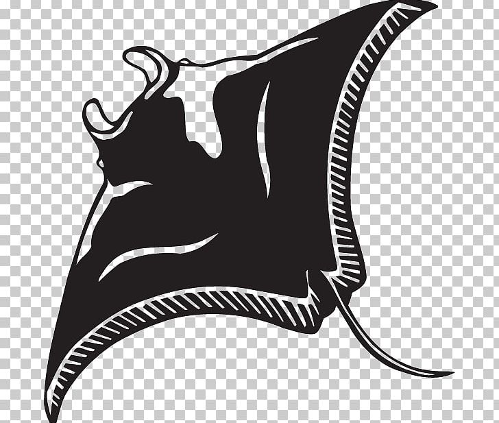 Giant Oceanic Manta Ray Myliobatoidei Batoidea PNG, Clipart, Animal, Batoidea, Black, Black And White, Carnivoran Free PNG Download