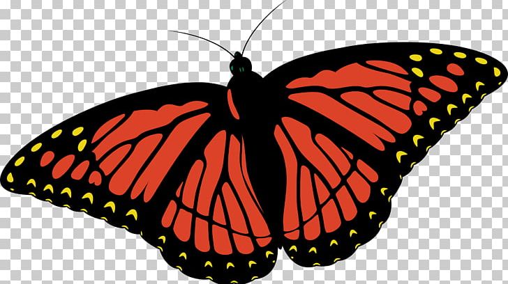 Monarch Butterfly PNG, Clipart, Animal, Arthropod, Brush Footed Butterfly, Butterfly, Butterfly Clipart Free PNG Download
