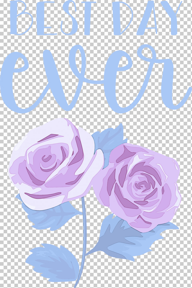 Best Day Ever Wedding PNG, Clipart, Best Day Ever, Blue Rose, Cabbage Rose, Drawing, Flower Free PNG Download