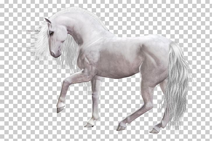 Unicorn Pony Mane Mustang PNG, Clipart, Animal, Animal Figure, Art, Atlar, Bridle Free PNG Download