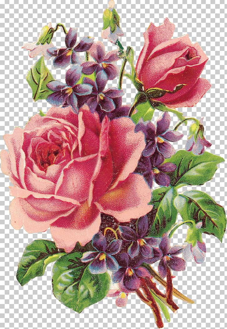 Vintage Roses: Beautiful Varieties For Home And Garden Violet Flower PNG, Clipart, Decoupage, Flower Arranging, Flower Illustration, Flowering Plant, Flowers Free PNG Download