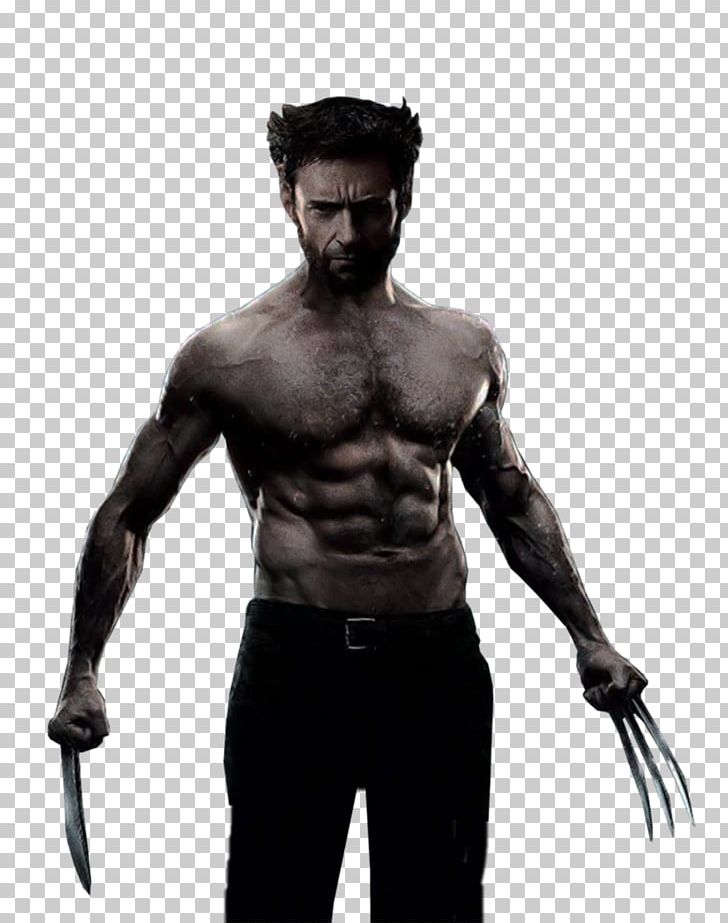 Wolverine Deadpool Silver Fox PNG, Clipart, Abdomen, Aggression, Arm, Bodybuilding, Chest Free PNG Download