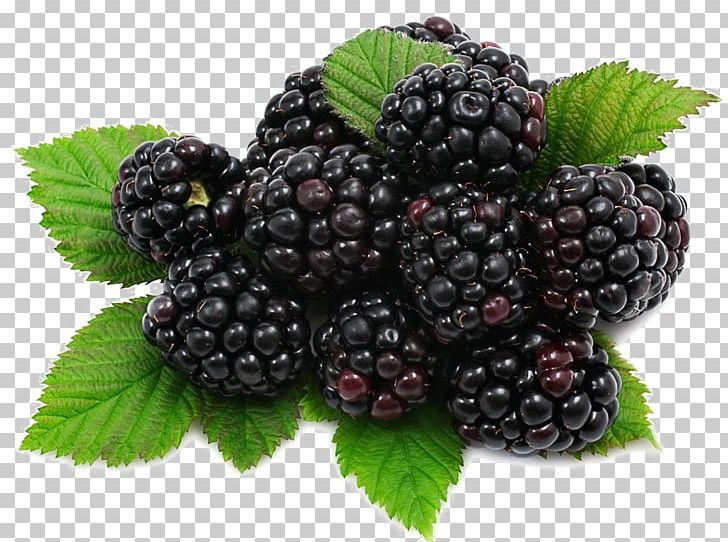Fruit Mulberry Food Nutrition PNG, Clipart, Aggregate Fruit, Bilberry, Blueberry, Dewberry, Food Free PNG Download