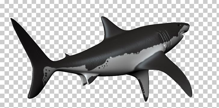 Hammerhead Shark Requiem Shark Great White Shark PNG, Clipart, Animal Figure, Animals, Animation, Apng, Blue Shark Free PNG Download