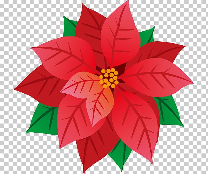 Illustration Poster Computer Icons Poinsettia PNG, Clipart, Christmas Day, Computer Icons, Dahlia, Download, Flora Free PNG Download