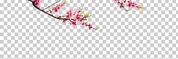 Plum Blossom PNG, Clipart, Antiquity, Branch, Cartoon, Color, Creative Cartoon Antiquity Free PNG Download