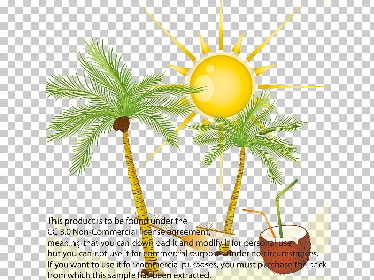 Arecaceae Coconut Euclidean PNG, Clipart, Arecaceae, Arecales, Branch, Cartoon, Coco Free PNG Download