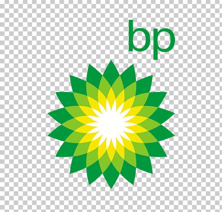 BP Organization Natural Gas PNG, Clipart, Bp Logo, Circle, Customer Service, Flower, Graphic Design Free PNG Download