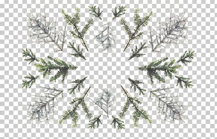 Christmas Card Greeting Card Graphic Design PNG, Clipart, Branch, Christmas, Decorative, Decorative Shading, Flora Free PNG Download