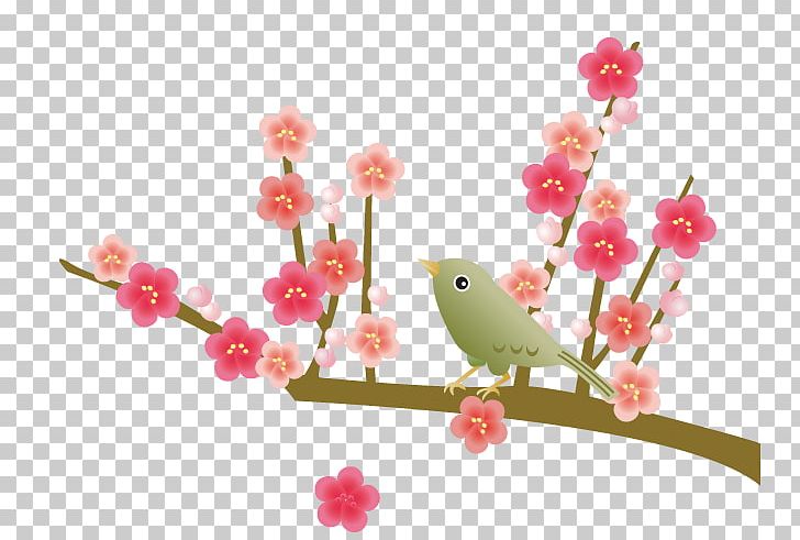Hamamatsu Tokyo Medical University Ibaraki Medical Center Hospital Handa Sake PNG, Clipart, Beak, Bird, Blossom, Branch, Cherry Blossom Free PNG Download