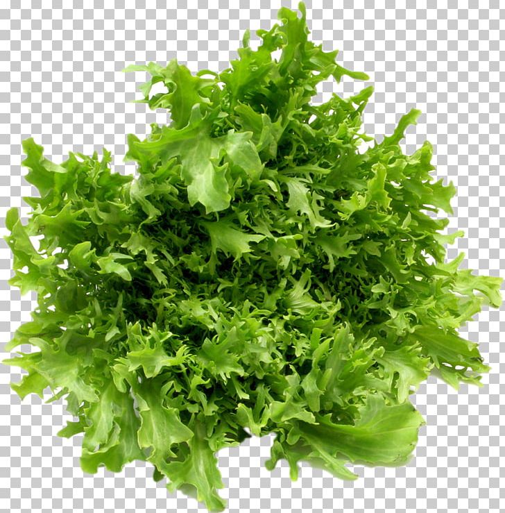 Leaf Vegetable Salad Fruit Lettuce PNG, Clipart, Artichoke, Carrot, Coriander, Endive, Food Free PNG Download