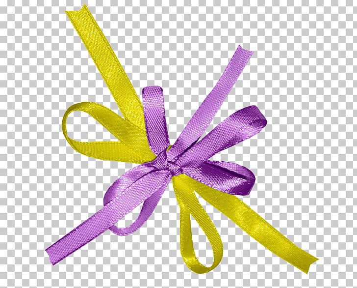 Ribbon Shoelace Knot PNG, Clipart, Button, Cartoon, Kha, Objects, Purple Free PNG Download
