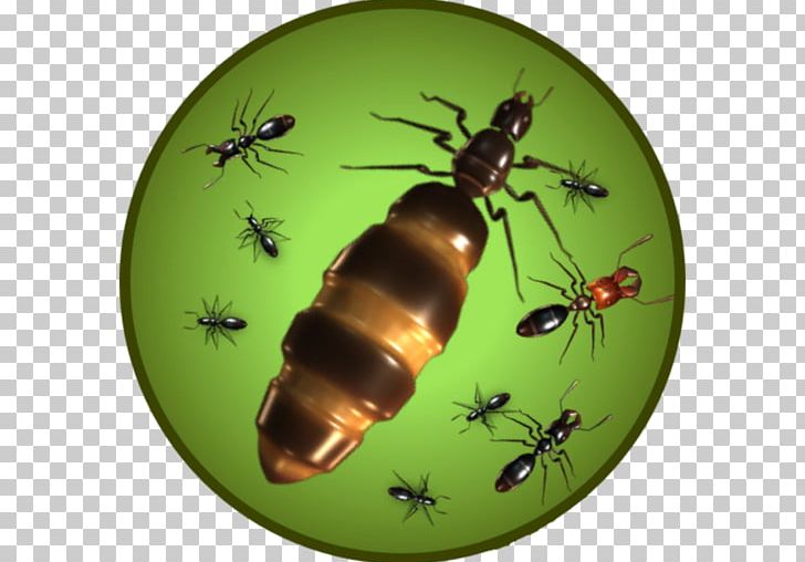 App Store Apple MacOS Screenshot PNG, Clipart, Apple, App Store, Arthropod, Bee, Beetle Free PNG Download