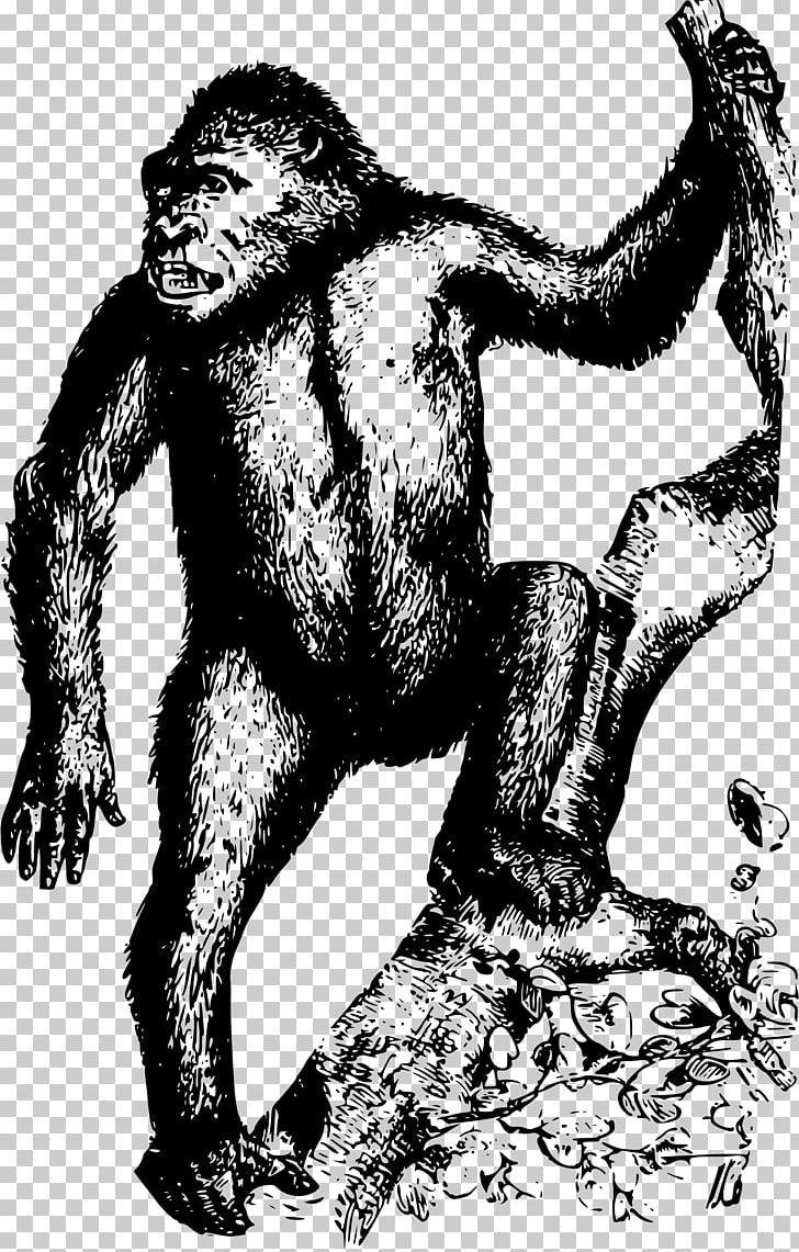Gorilla Homo Sapiens Orangutan Ape PNG, Clipart, Animal, Animals, Ape, Art, Black And White Free PNG Download