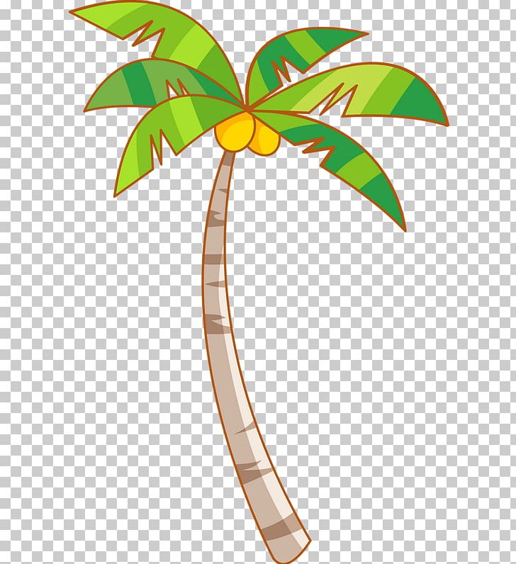 Green Tree Coconut Yellow Arecaceae PNG, Clipart, Christmas Tree, Coconut, Coconut Tree, Date Palm, Euclidean Vector Free PNG Download