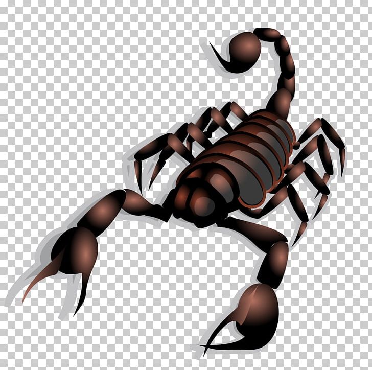 Scorpion Drawing PNG, Clipart, Arachnid, Arthropod, Cdr, Claw, Download Free PNG Download
