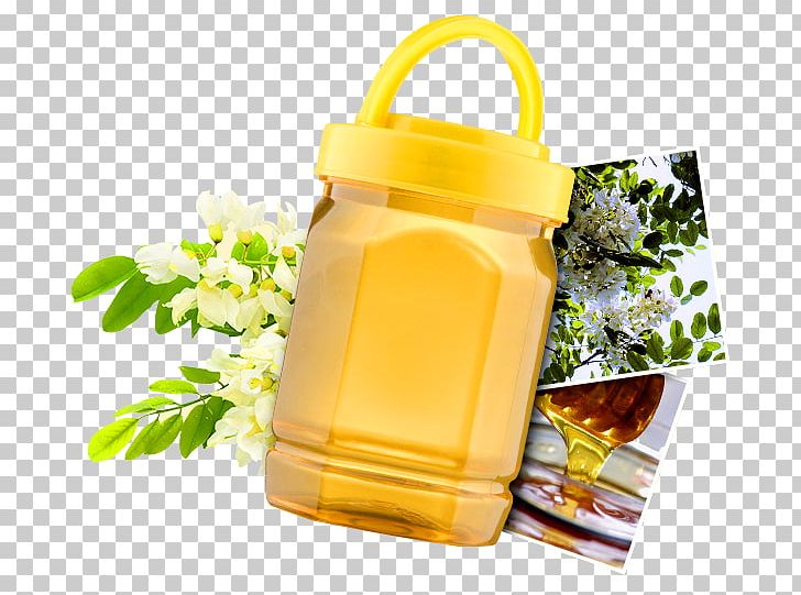 Honey Bee Honey Bee Black Locust PNG, Clipart, Acacia, Beverage, Food, Honey, Honey Bee Free PNG Download