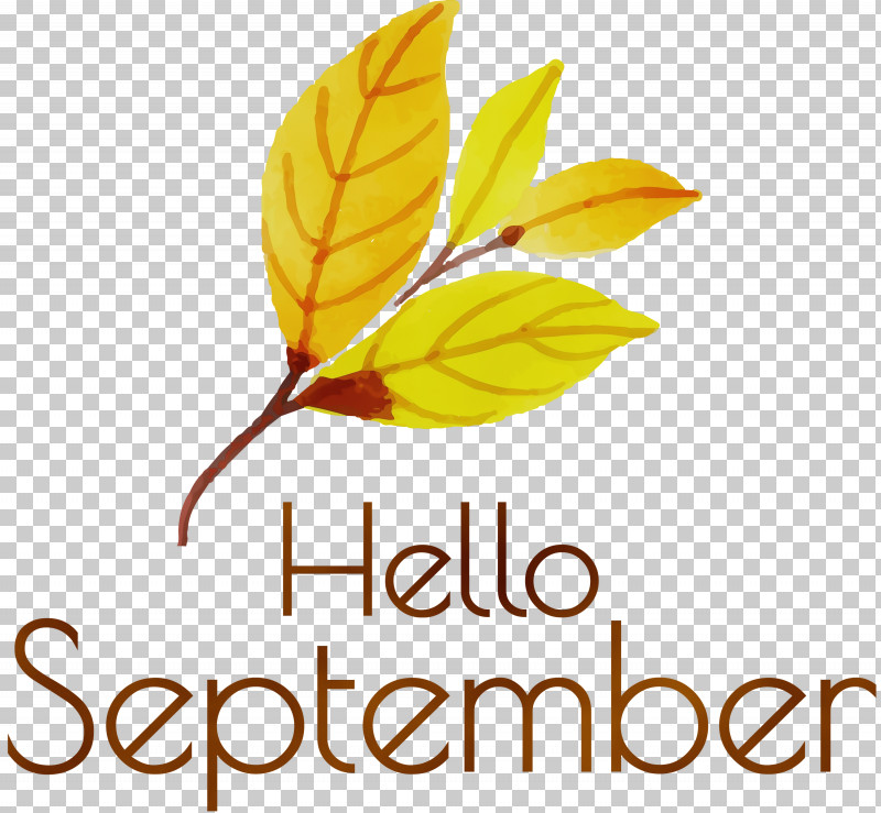 Leaf Plant Stem Petal Flower Line PNG, Clipart, Biology, Flower, Geometry, Hello September, Leaf Free PNG Download