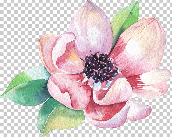 Watercolor Painting Stock Photography PNG, Clipart, Aquatic Plant, Art, Creative Market, Cut Flowers, Drawing Free PNG Download