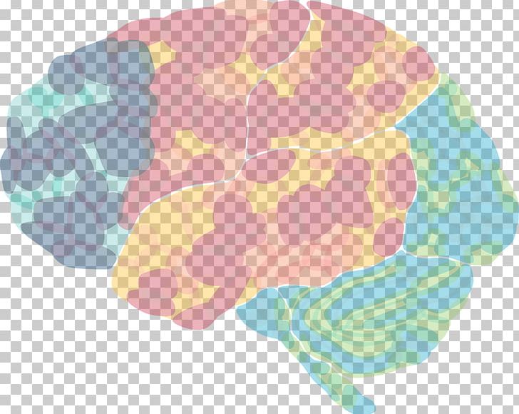 Integrative Neuroscience Frontiers Media Scientific Journal Brain PNG, Clipart, Article, Behavior, Behavioral Neuroscience, Brain, Cognitive Neuroscience Free PNG Download