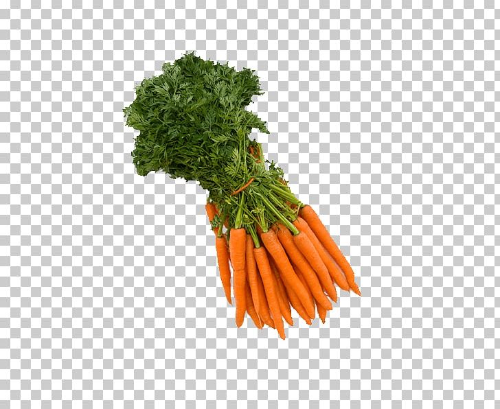 Juice Carrot Vegetarian Cuisine Vegetable Food PNG, Clipart, Avocado, Baby Carrot, Broccoli, Carrot, Food Free PNG Download