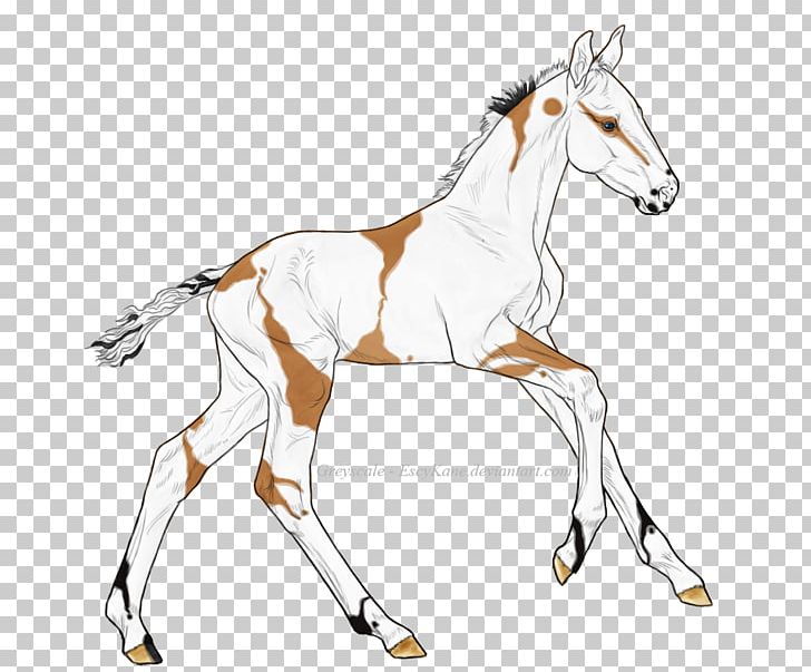 Mane Foal Bridle Stallion Mustang PNG, Clipart, Animal, Animal Figure, Artwork, English Riding, Equestrian Free PNG Download