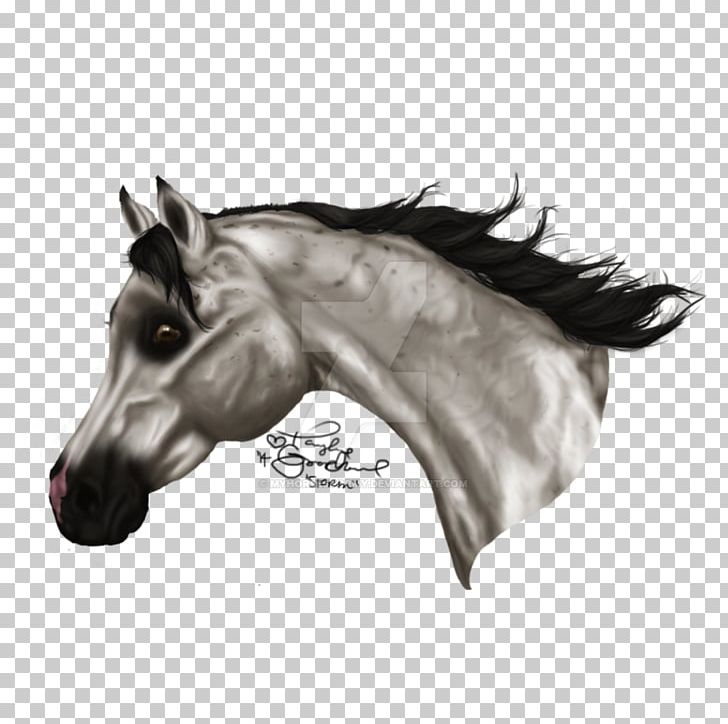 Mane Mustang Halter Pony Stallion PNG, Clipart, Arabian Horse, Black And White, Bridle, Drawing, Halter Free PNG Download