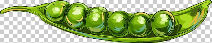 Vegetable Commodity Fruit PNG, Clipart, Commodity, Food, Fruit, Green, Hand Painted Free PNG Download