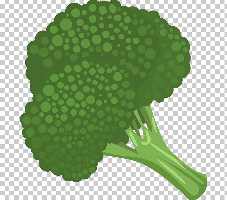 Broccoli Cauliflower Vegetable PNG, Clipart, Brassica Oleracea, Broccoli, Broccoli Cliparts, Cauliflower, Computer Icons Free PNG Download