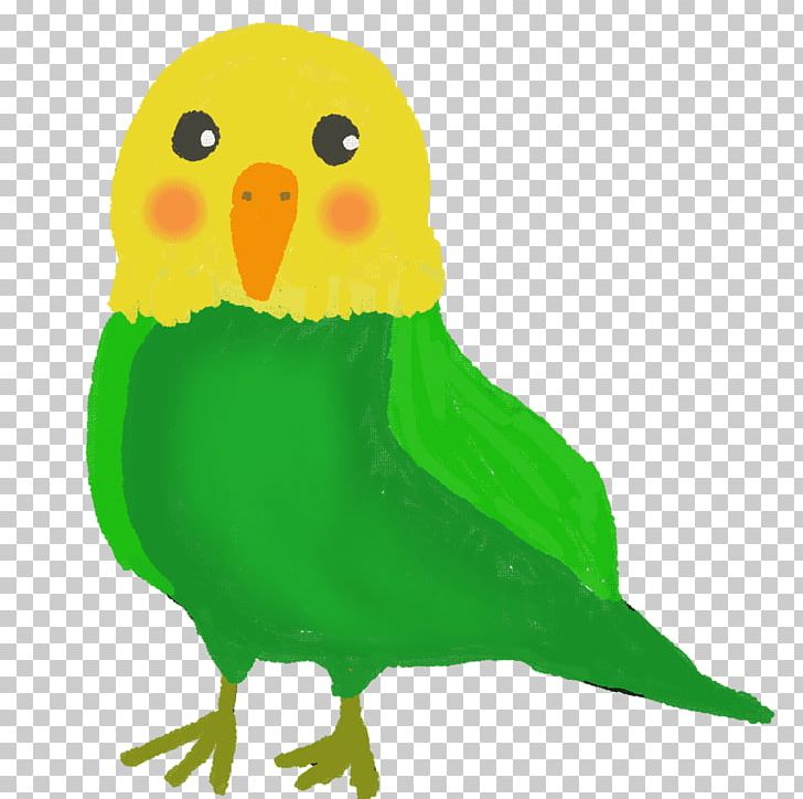Budgerigar Bird Parrot Parakeet PNG, Clipart, Animals, Art, Beak, Bird, Bird Of Prey Free PNG Download