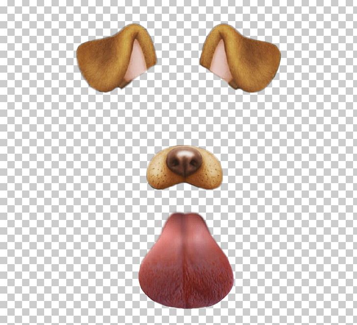 Dalmatian Dog Snapchat PNG, Clipart, Avatan, Avatan Plus, Clip Art, Dalmatian Dog, Dog Free PNG Download