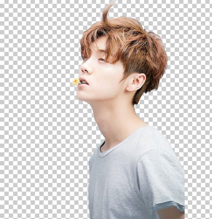 Lu Han Exo-CBX K-pop PNG, Clipart, Allkpop, Baekhyun, Brown Hair, Bts, Cheek Free PNG Download