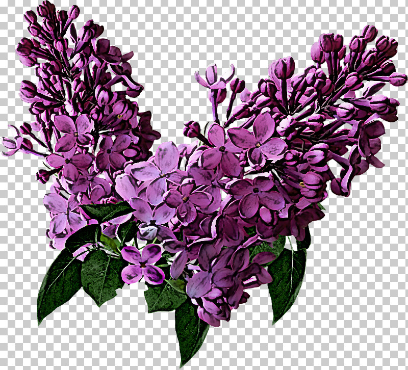 Artificial Flower PNG, Clipart, Artificial Flower, Branch, Buddleia, Cut Flowers, Dendrobium Free PNG Download