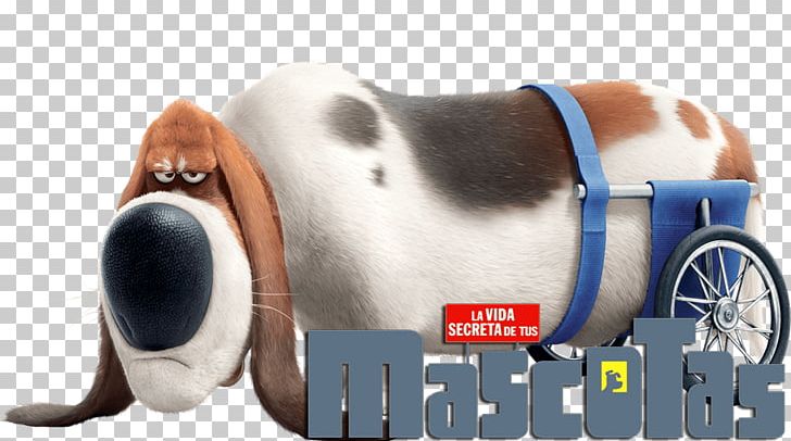 Basset Hound Dachshund Pet Animal Gidget PNG, Clipart, Animal, Animated Film, Basset Hound, Breed, Dachshund Free PNG Download