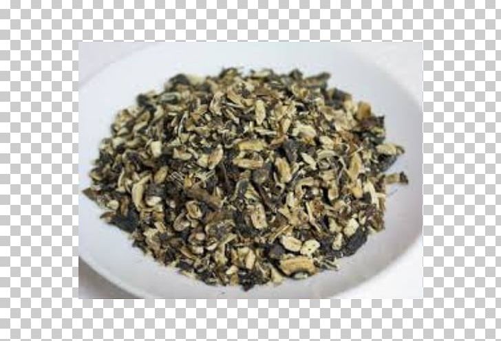 Common Comfrey Herb Ajwain Plant PNG, Clipart, Ajwain, Biluochun, Calendula Officinalis, Chun Mee Tea, Comfrey Free PNG Download