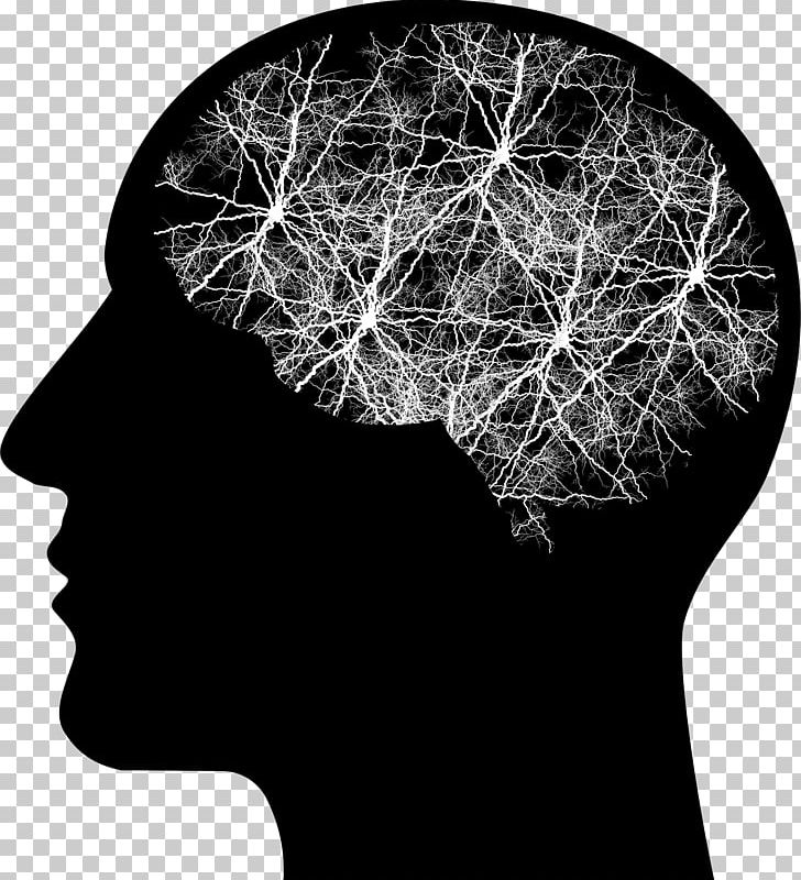 Human Brain Human Head Human Body PNG, Clipart, Anatomy, Axon, Black And White, Brain, Brain Injury Free PNG Download