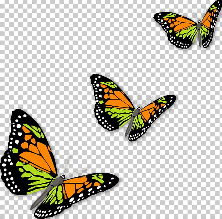 Monarch Butterfly PNG, Clipart, Brush Footed Butterfly, Butterflies And Moths, Butterfly, Clip Art, Download Free PNG Download