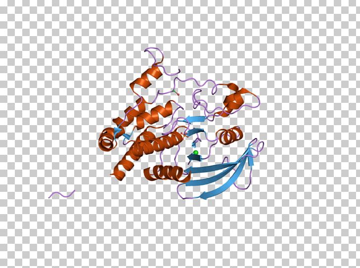 PTPRJ Protein Phosphatase Tyrosine Gene PNG, Clipart, Animal, Art, Biology, Computer Wallpaper, Ebi Free PNG Download