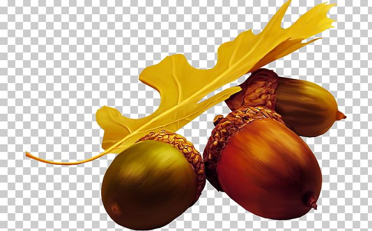 Acorn Desktop Desktop Environment Nut PNG, Clipart, Acorn, Cicekler Resimleri, Computer, Desktop Wallpaper, Domesticated Turkey Free PNG Download