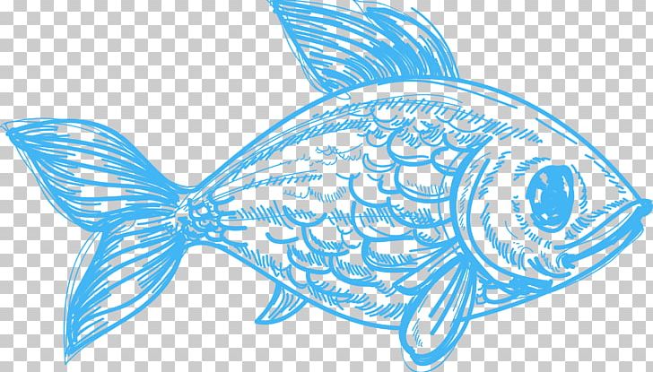 Drawing Deep Sea Creature Pencil Sketch PNG, Clipart, Animals, Aqua, Aquatic Animal, Art, Blue Free PNG Download