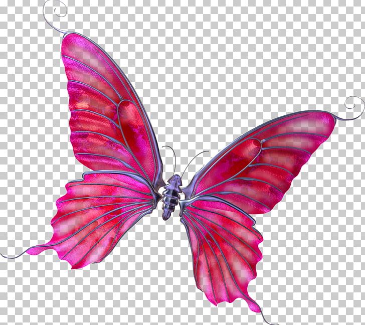 Butterfly Photography PNG, Clipart, Blue Butterfly, Brush Footed Butterfly, Butterflies, Butterfly Group, Butterfly Wings Free PNG Download